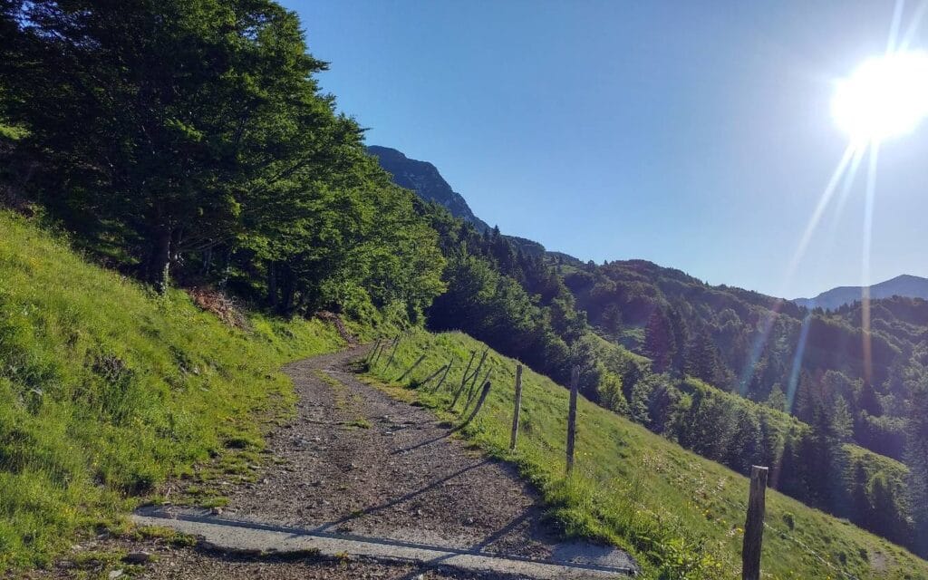 Pohodniška pot na soncu proti planini Kuk