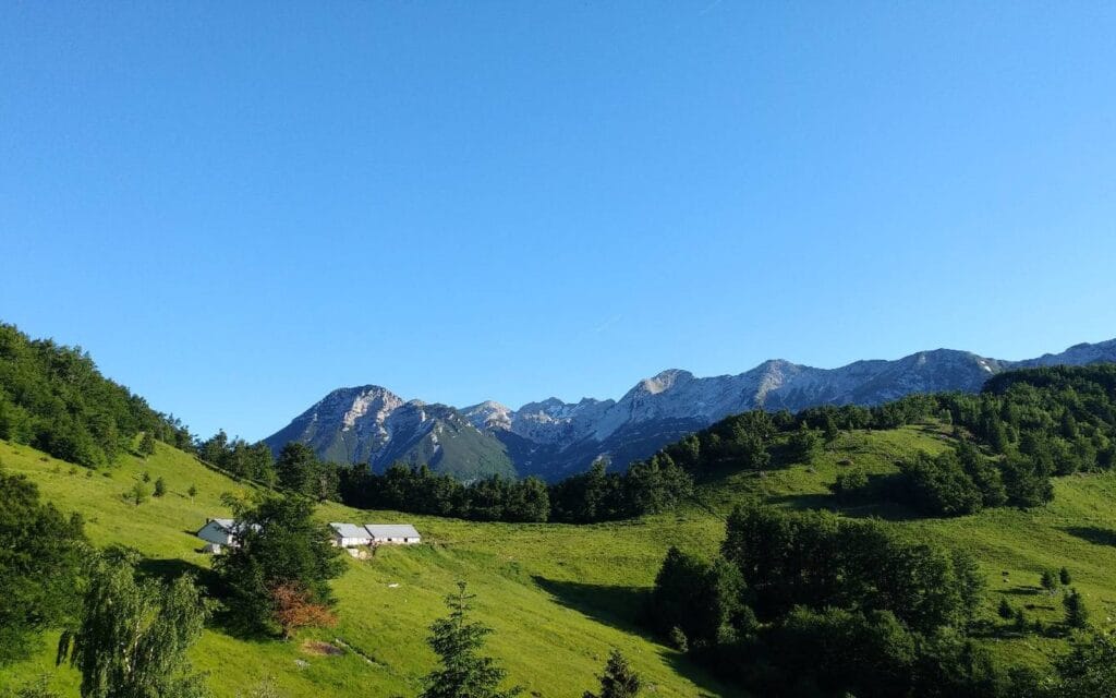 Planinski travniki in Julijske Alpe nad planino Kuk